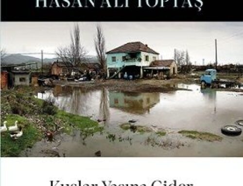 Okuma notları: Kuşlar Yasına Gider, Hasan Ali Toptaş